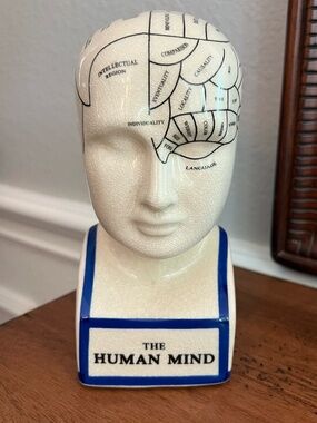 The Human Mind Phrenology Science Psychology Head Brain Statue Ceramic Decor